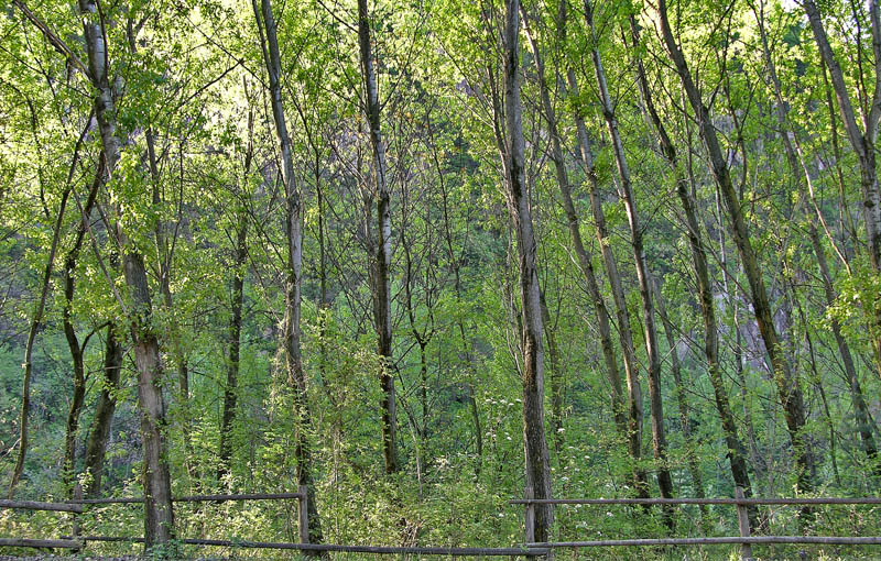 Ritrovamenti sabato 14 aprile.